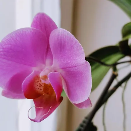 Отель Weberhof Циттау